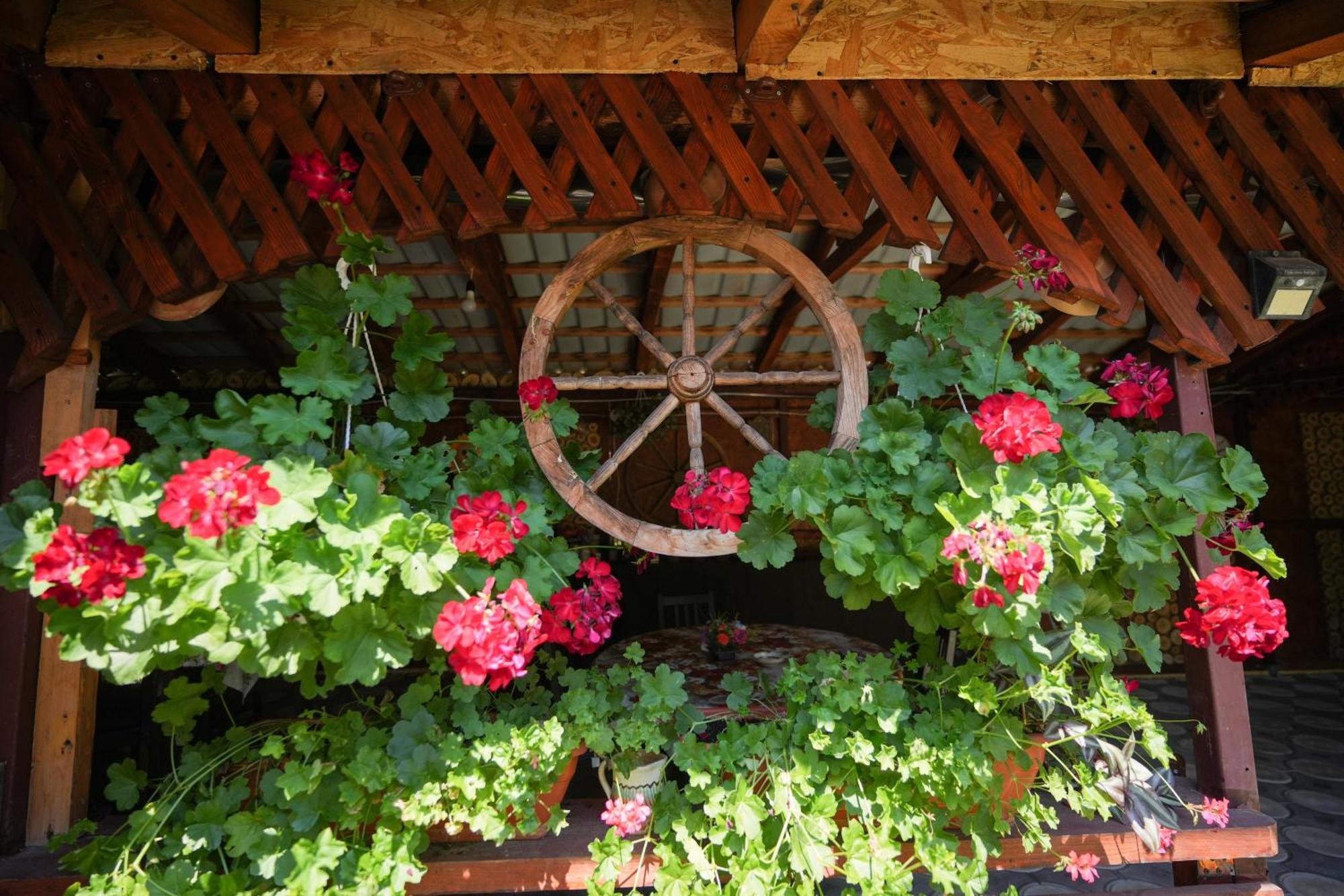 Casa Ion Daire Horezu Dış mekan fotoğraf