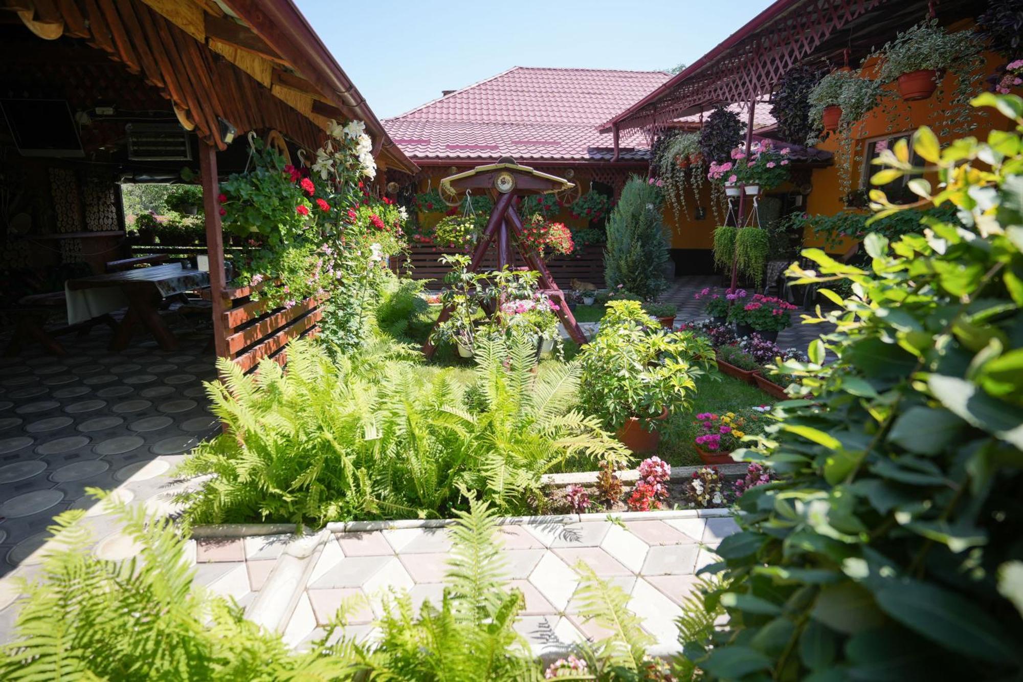 Casa Ion Daire Horezu Dış mekan fotoğraf