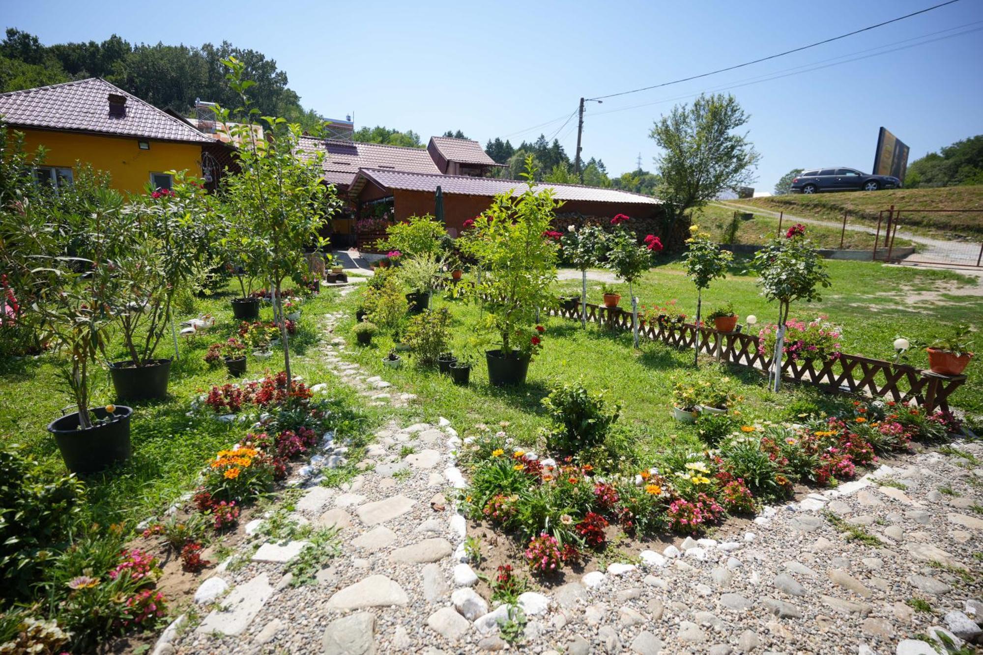 Casa Ion Daire Horezu Dış mekan fotoğraf