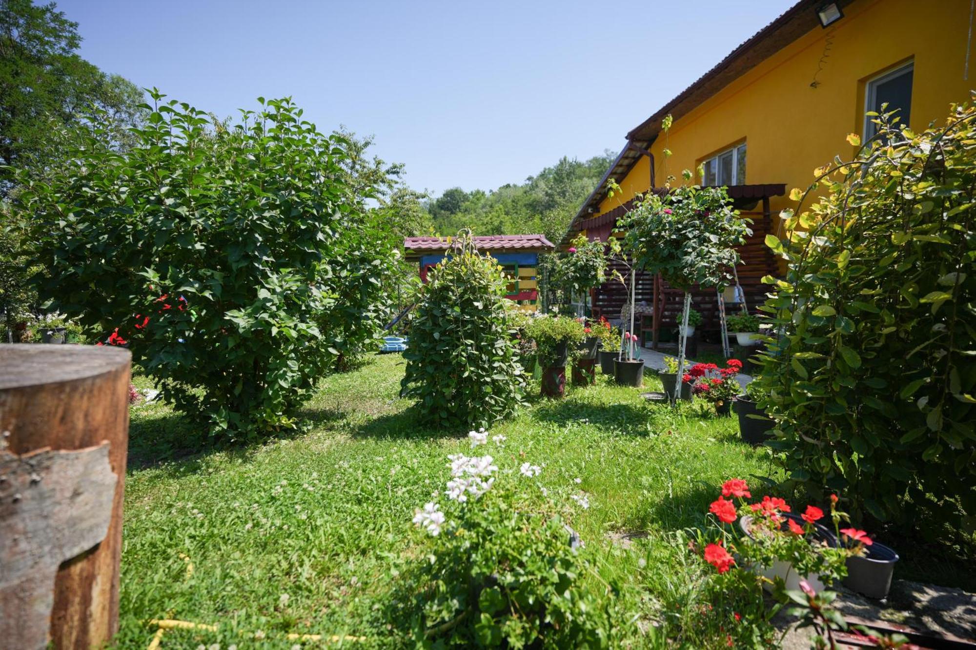 Casa Ion Daire Horezu Dış mekan fotoğraf