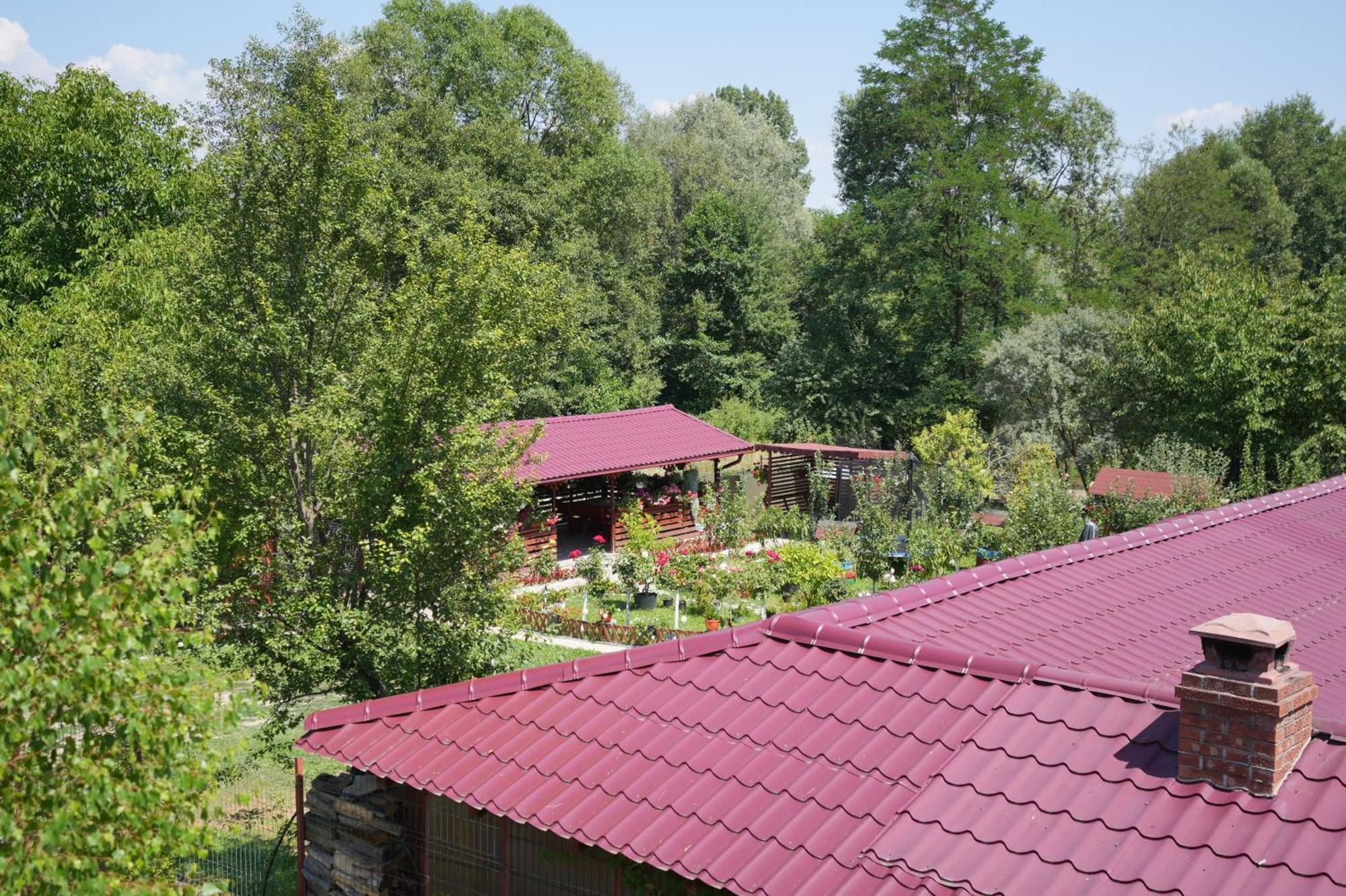 Casa Ion Daire Horezu Dış mekan fotoğraf